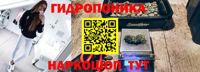 индика Новокубанск