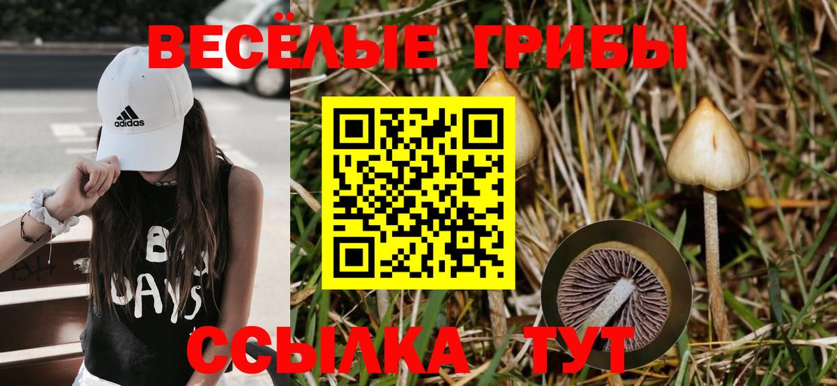 Псилоцибиновые грибы Magic Shrooms  Вход с VPN  Урай 